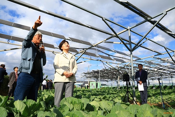 A Coreia do Sul planeja legislar para promover projetos de energia fotovoltaica na agricultura.